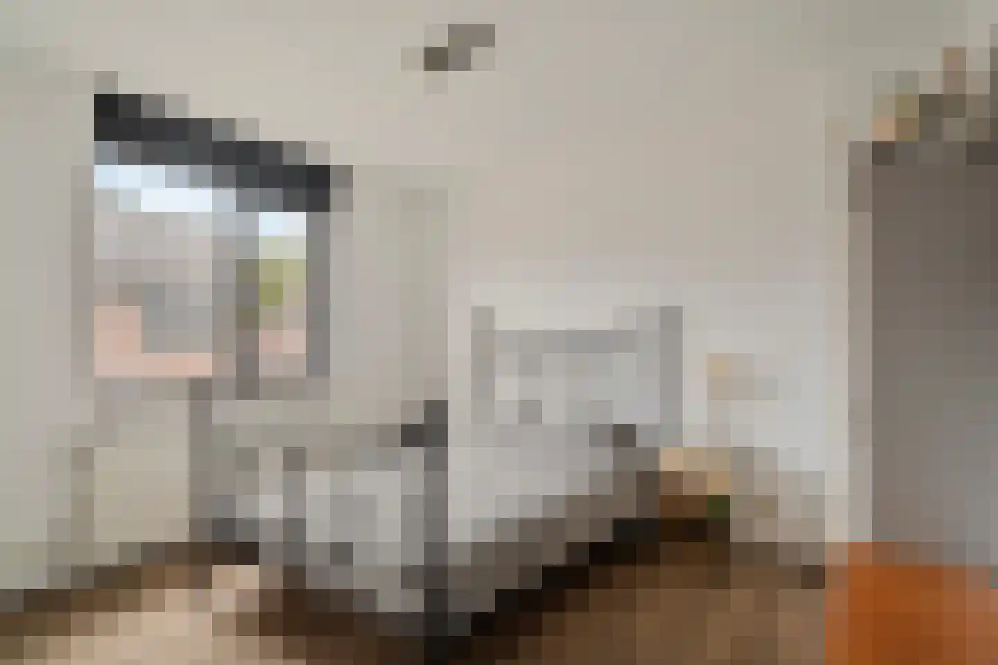 Torenvalk 64 Bunschoten-Spakenburg thumbnail 23