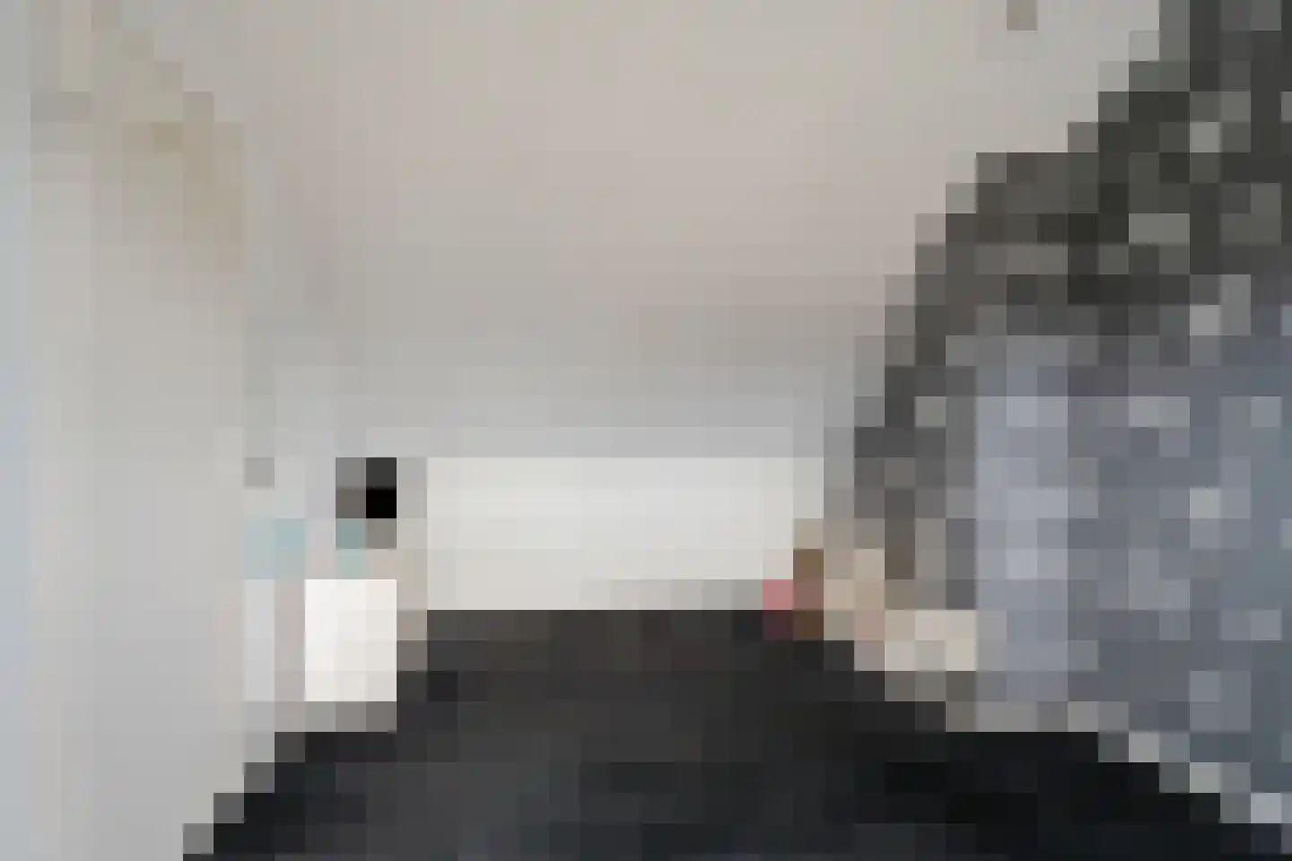 Torenvalk 64 Bunschoten-Spakenburg thumbnail 32