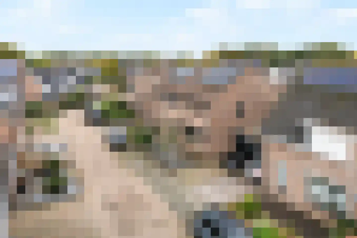Torenvalk 64 Bunschoten-Spakenburg thumbnail 45