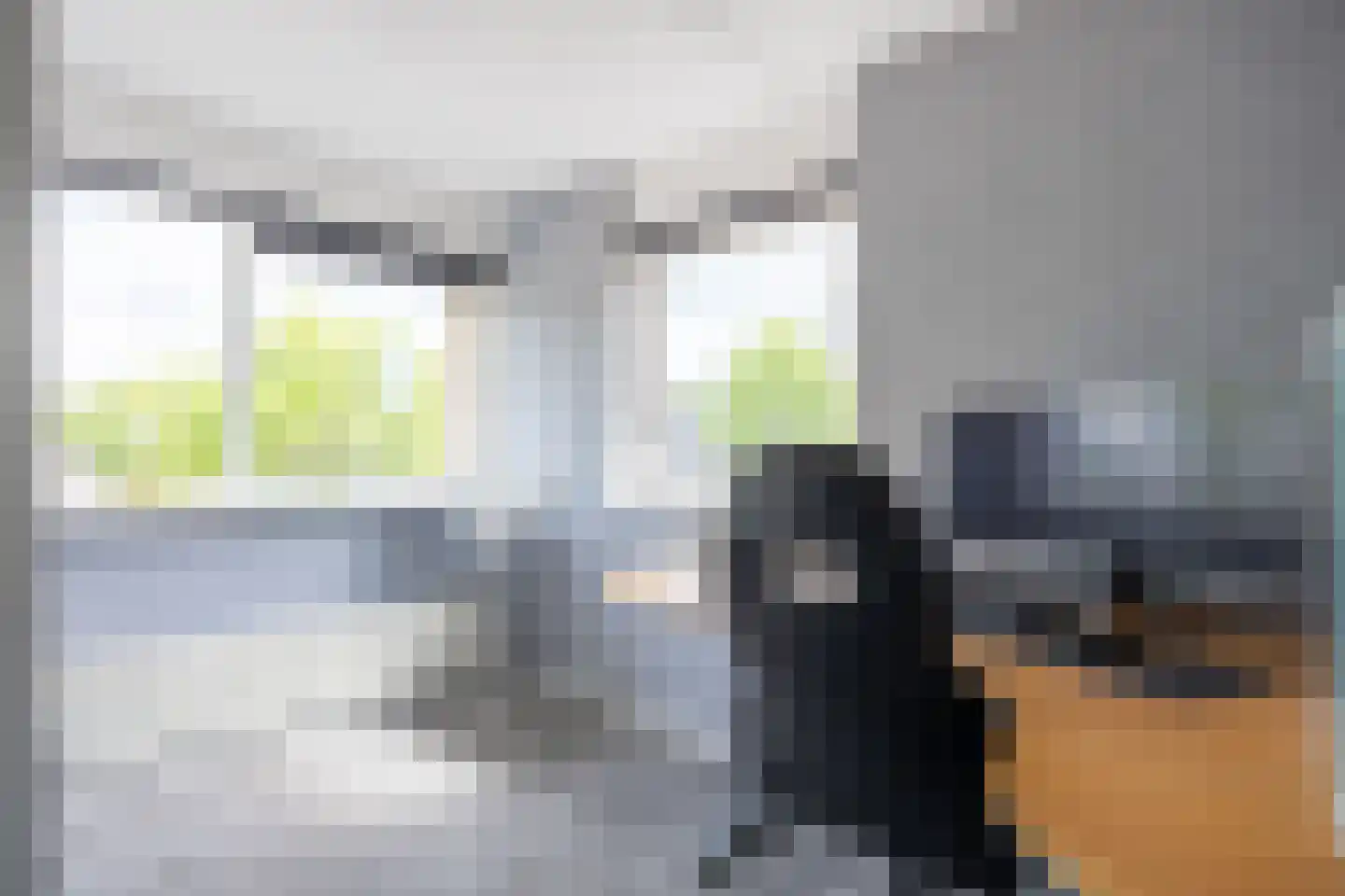 Torenvalk 7 Siddeburen thumbnail 30