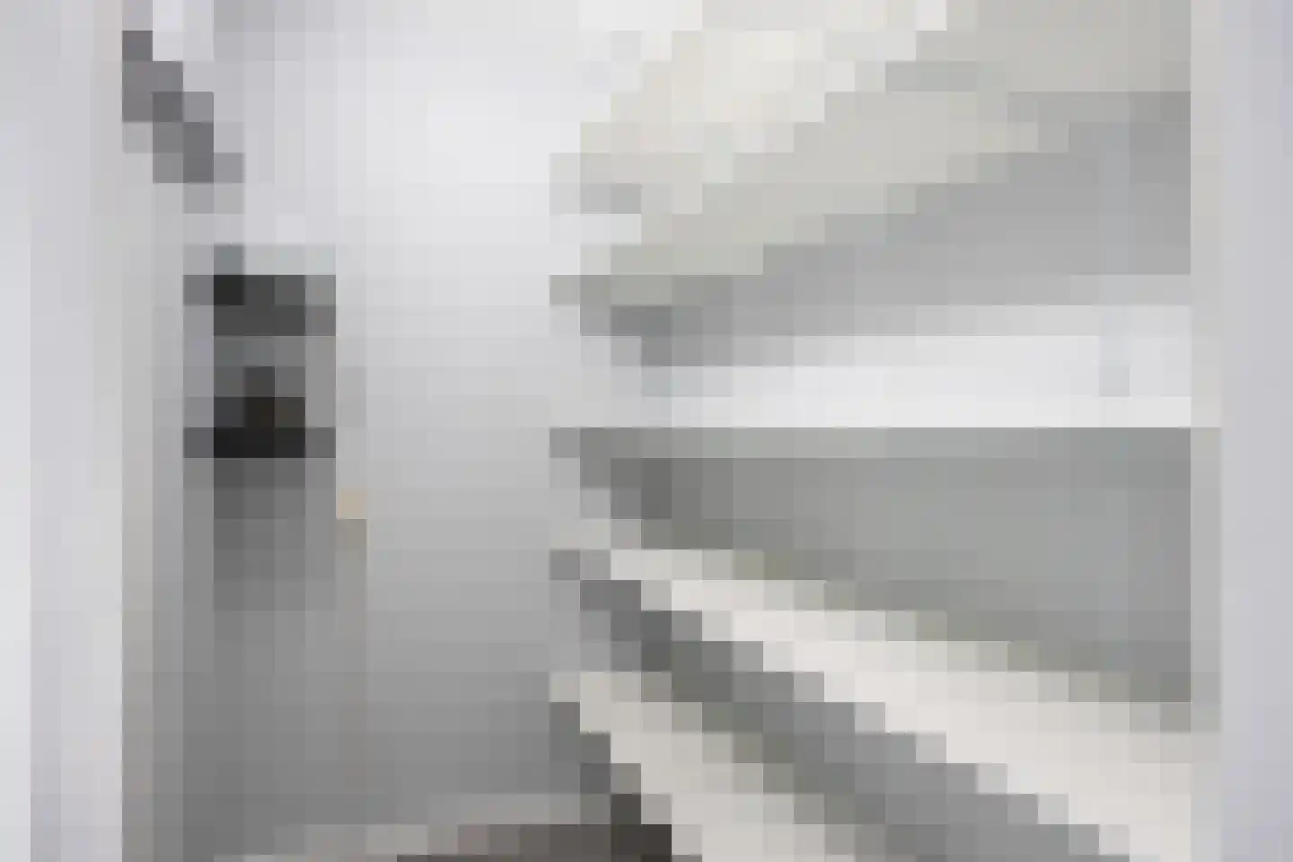 Torenvalk 7 Siddeburen thumbnail 35