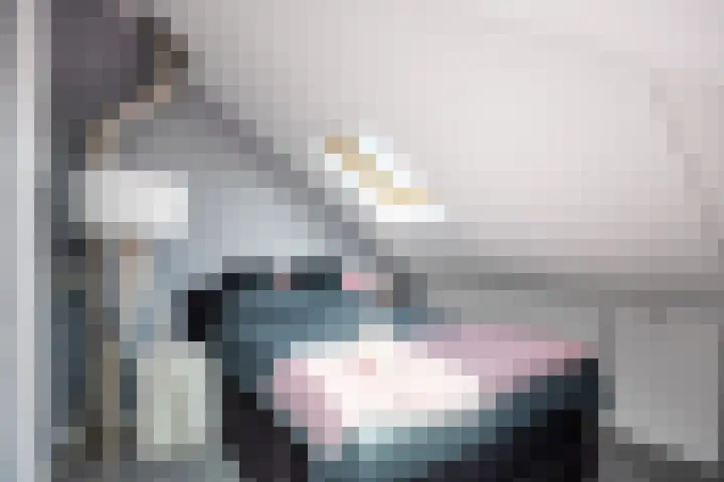 Torenvalk 7 Siddeburen thumbnail 43