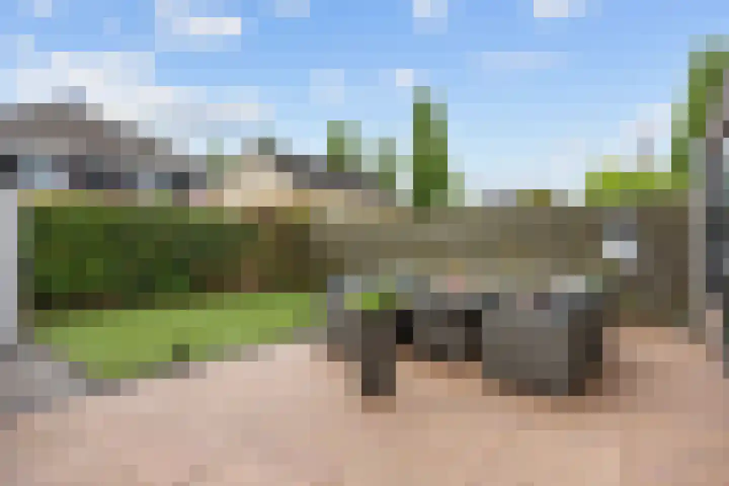 Torenvalk 7 Siddeburen thumbnail 46