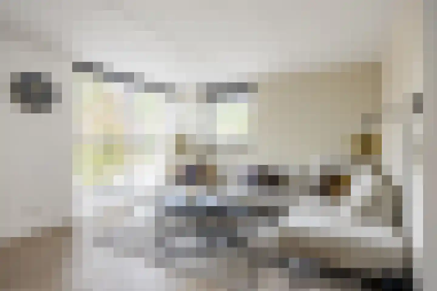 Torenvalk 7 Siddeburen thumbnail 8