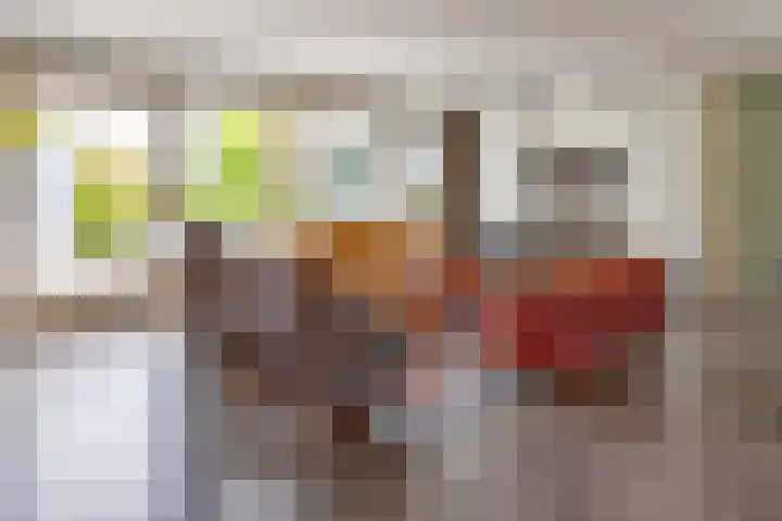 Torenvalk 7 Venray thumbnail 13