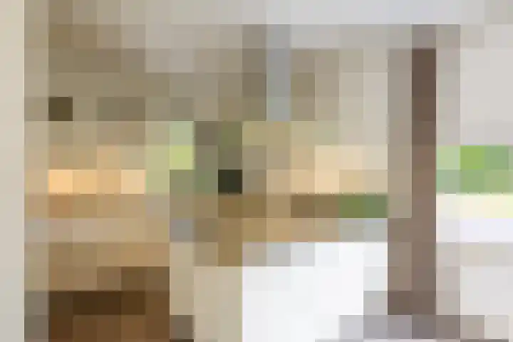 Torenvalk 7 Venray thumbnail 17