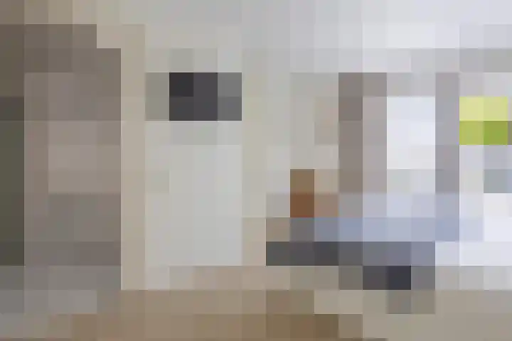 Torenvalk 7 Venray thumbnail 21