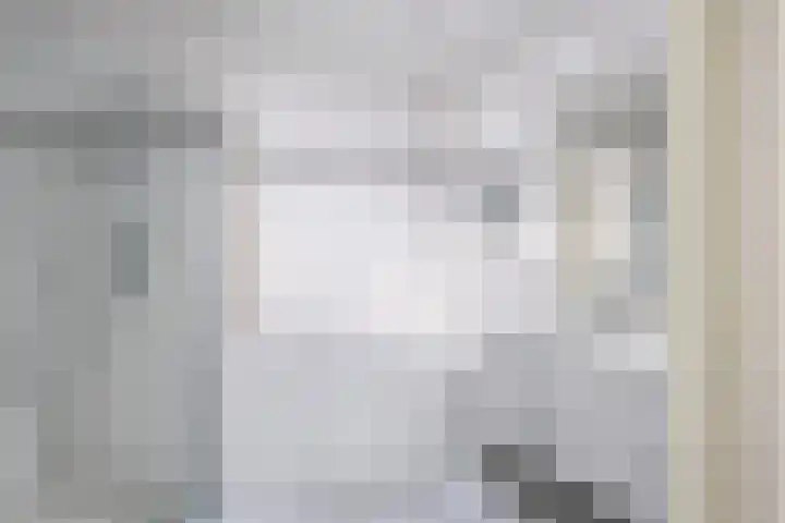 Torenvalk 7 Venray thumbnail 23
