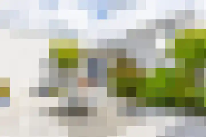 Torenvalk 7 Venray thumbnail 31