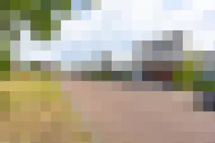 Torenvalk 7 Venray thumbnail 35