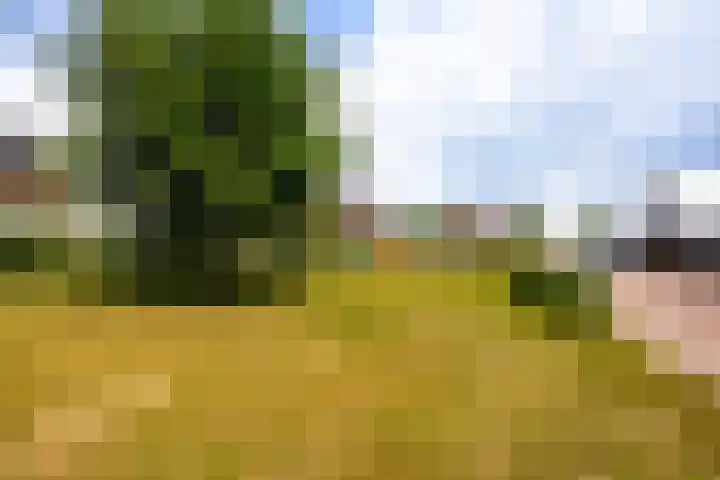 Torenvalk 7 Venray thumbnail 5