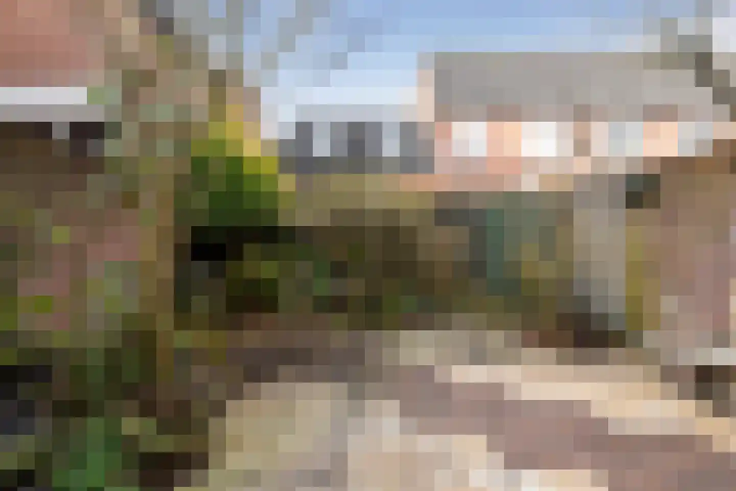 Torenvalk 73 Etten-Leur thumbnail 27