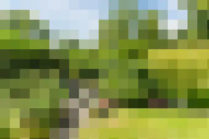 Torenvalk 81 Bunschoten-Spakenburg thumbnail 25