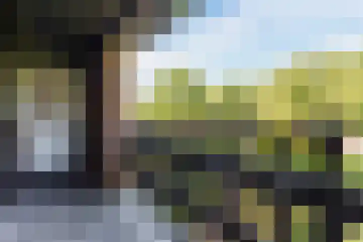 Torenvalk 81 Bunschoten-Spakenburg thumbnail 29