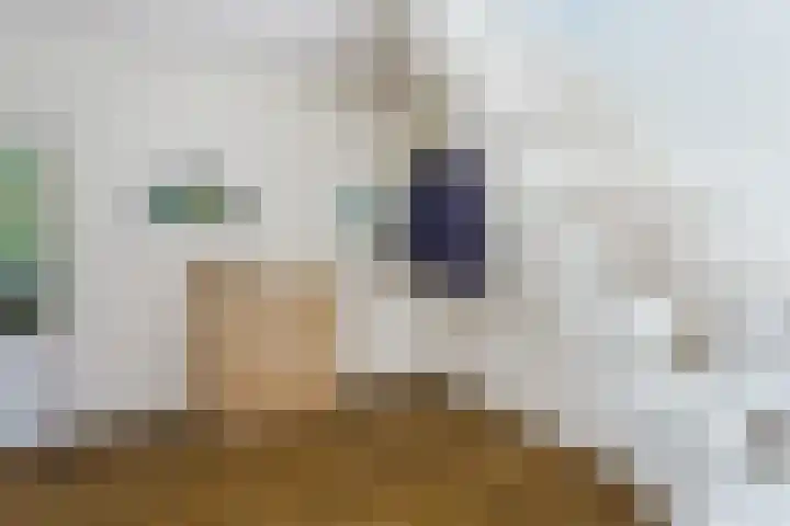 Torenvalk 81 Bunschoten-Spakenburg thumbnail 9