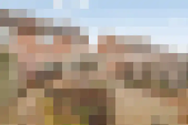 Torenvalk 9 Bunschoten-Spakenburg thumbnail 40