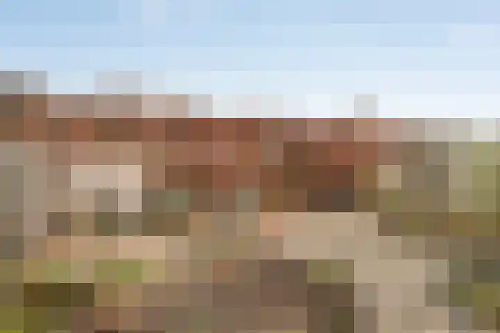 Torenvalk 9 Bunschoten-Spakenburg thumbnail 41