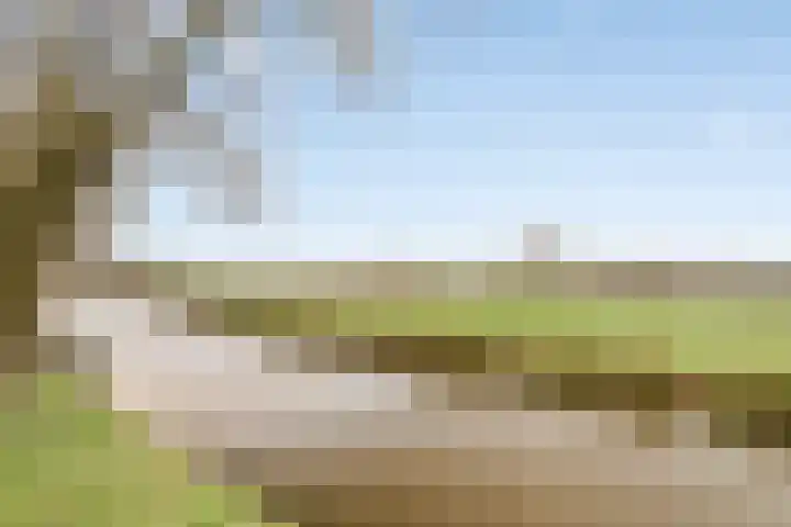 Torenvalk 9 Bunschoten-Spakenburg thumbnail 43