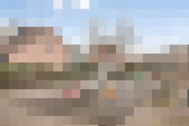 Torenvalk 9 Bunschoten-Spakenburg thumbnail 44