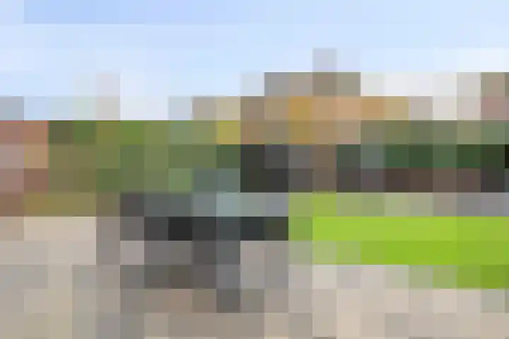 Torenvalk 9 Eijsden thumbnail 21