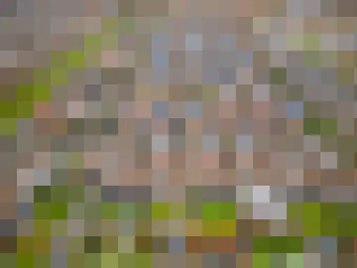 Torenvalk 9 Eijsden thumbnail 24