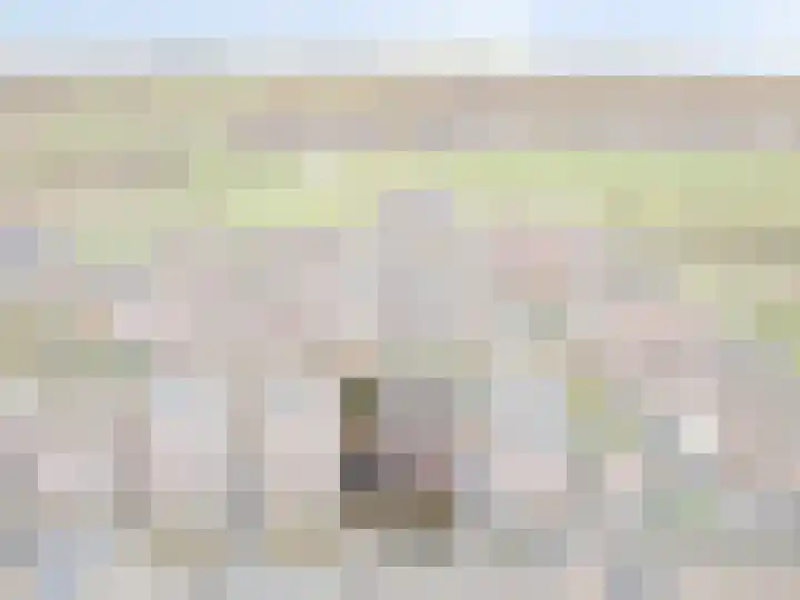 Torenvalk 9 Eijsden thumbnail 4