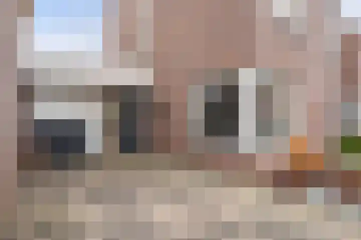 Torenvalk 9 Eijsden thumbnail 7