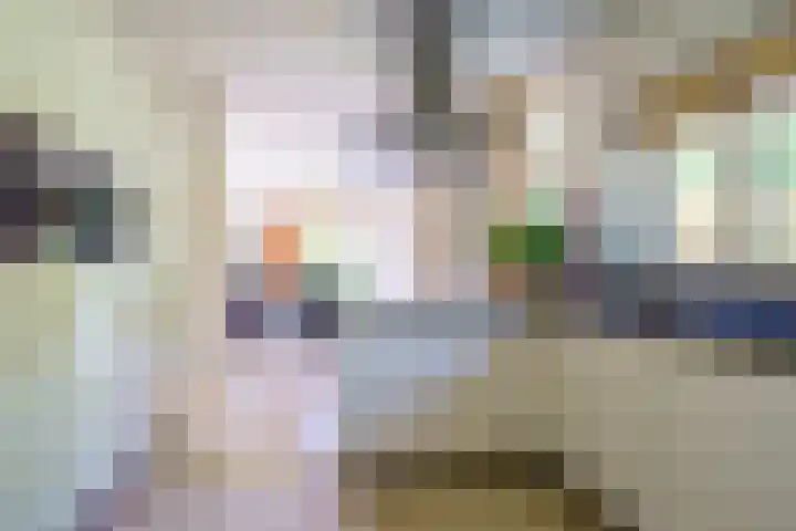 Torenvalklaan 13 Almere thumbnail 19