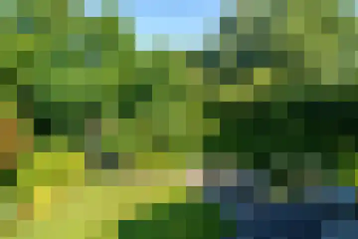 Torenvalklaan 13 Almere thumbnail 33