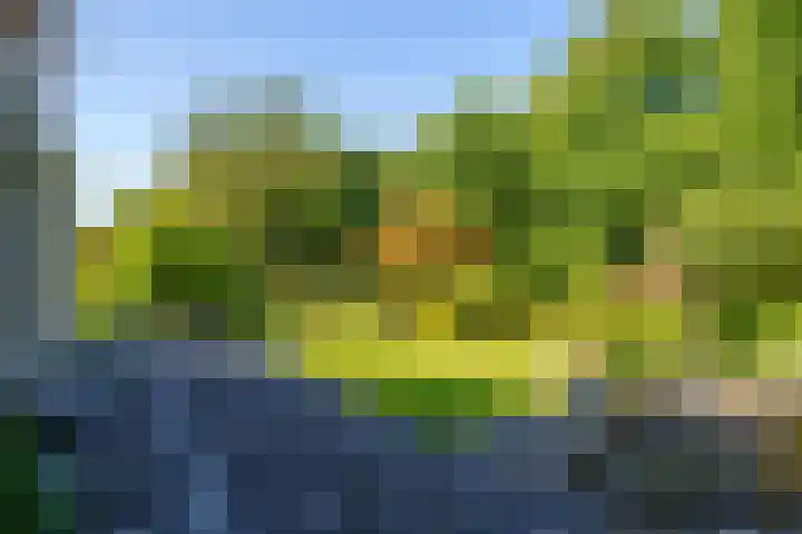 Torenvalklaan 13 Almere thumbnail 37