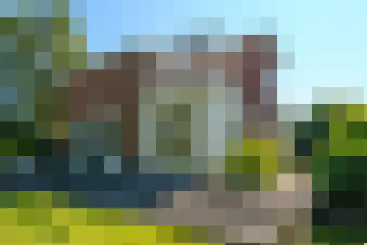 Torenvalklaan 13 Almere thumbnail 42