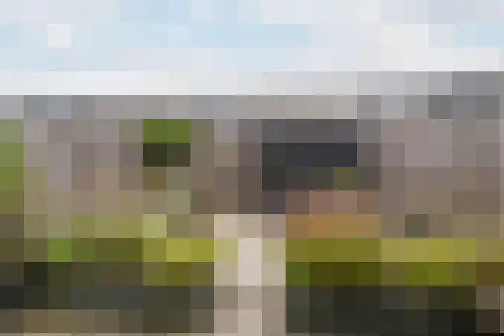 Torenvalklaan 13 Vlaardingen thumbnail 18