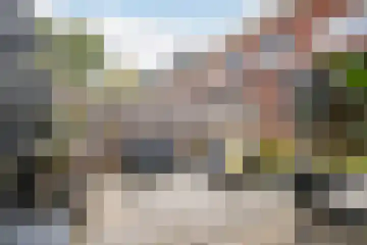 Torenvalklaan 13 Vlaardingen thumbnail 20