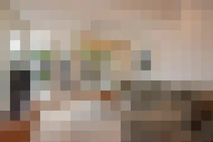 Torenvalklaan 65 Den Haag thumbnail 6