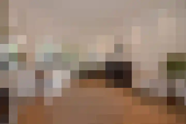 Torenvalklaan 65 Den Haag thumbnail 8