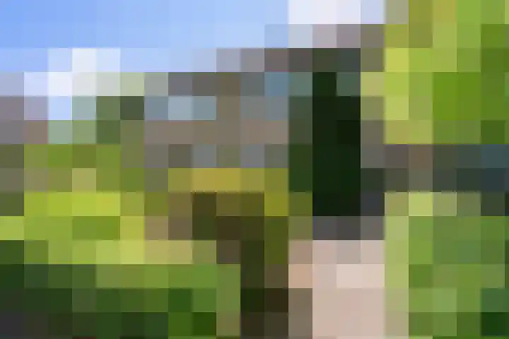 Torenvalkstraat 25 Delden thumbnail 7