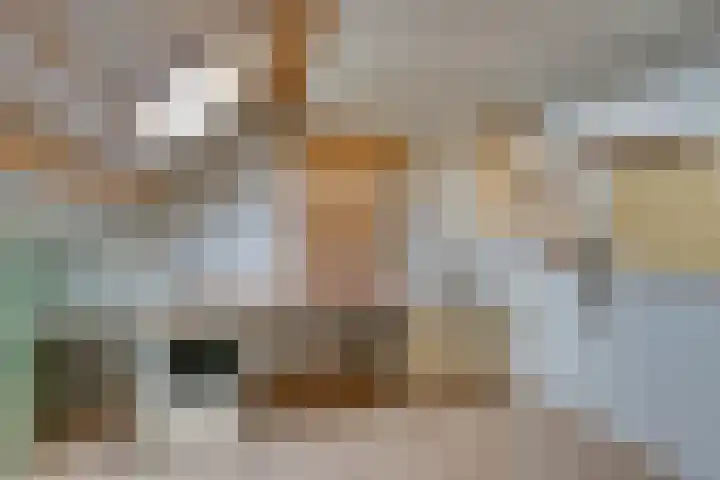 Torenvalkstraat 6 Volendam thumbnail 42