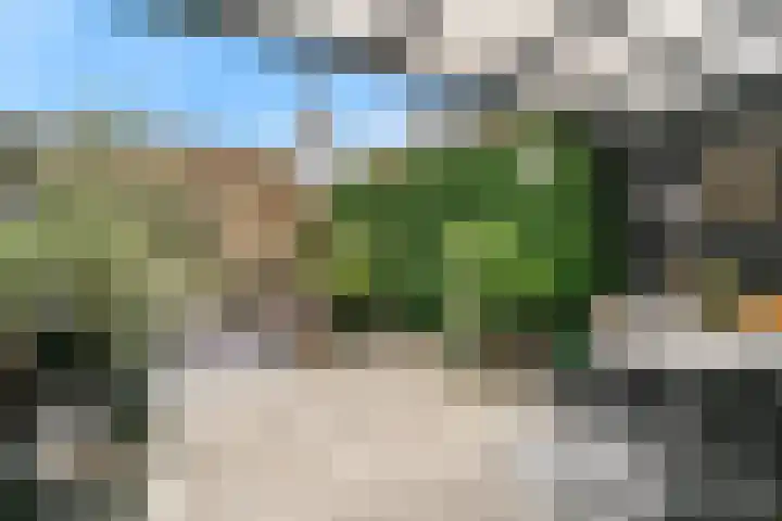 Torenveen 8 Zaandam thumbnail 28