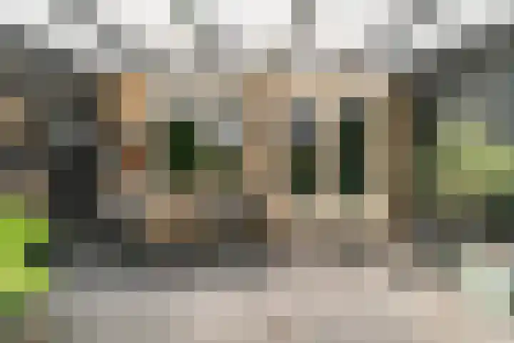 Torenveen 8 Zaandam thumbnail 30