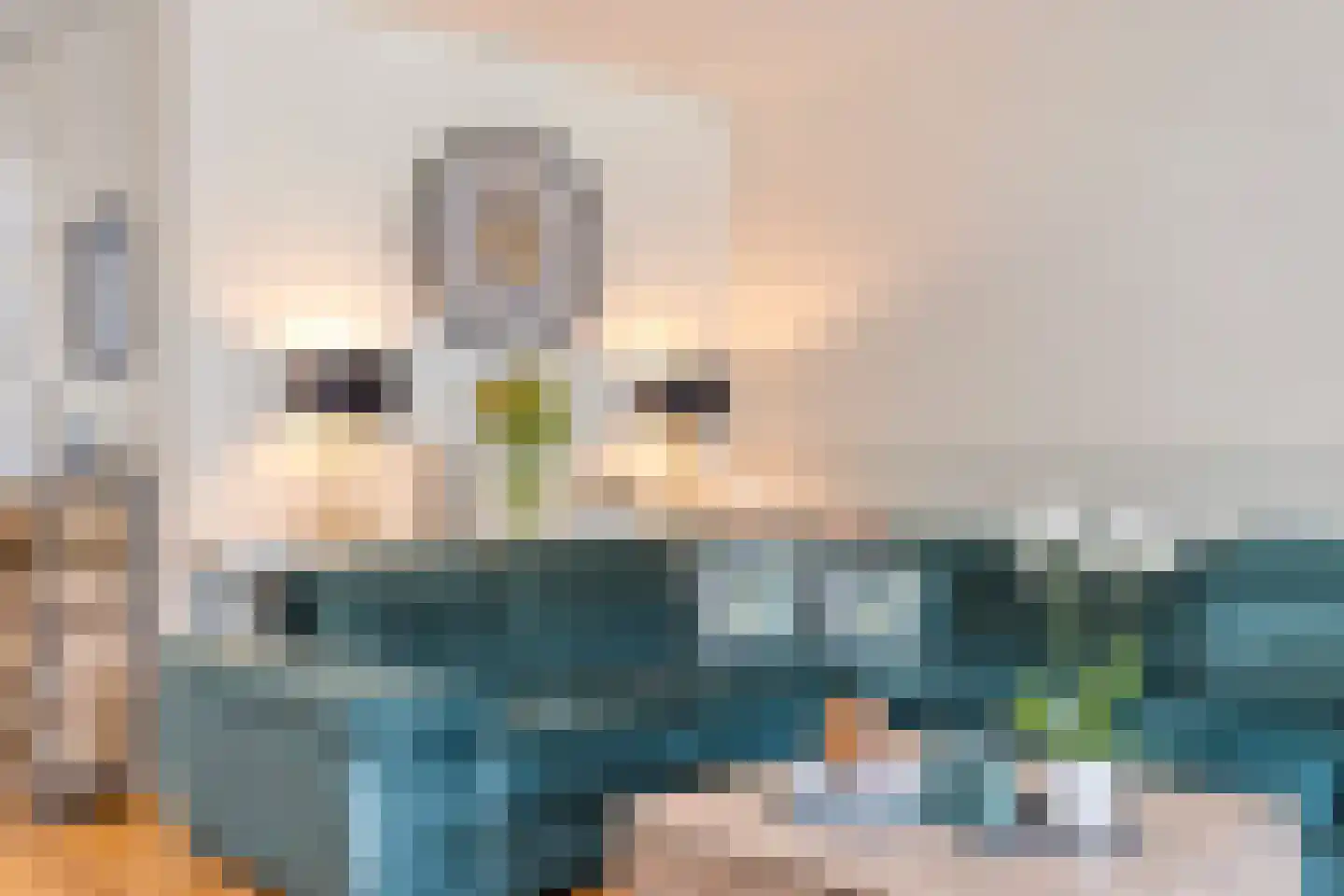Torenveld 17 Boekel thumbnail 20
