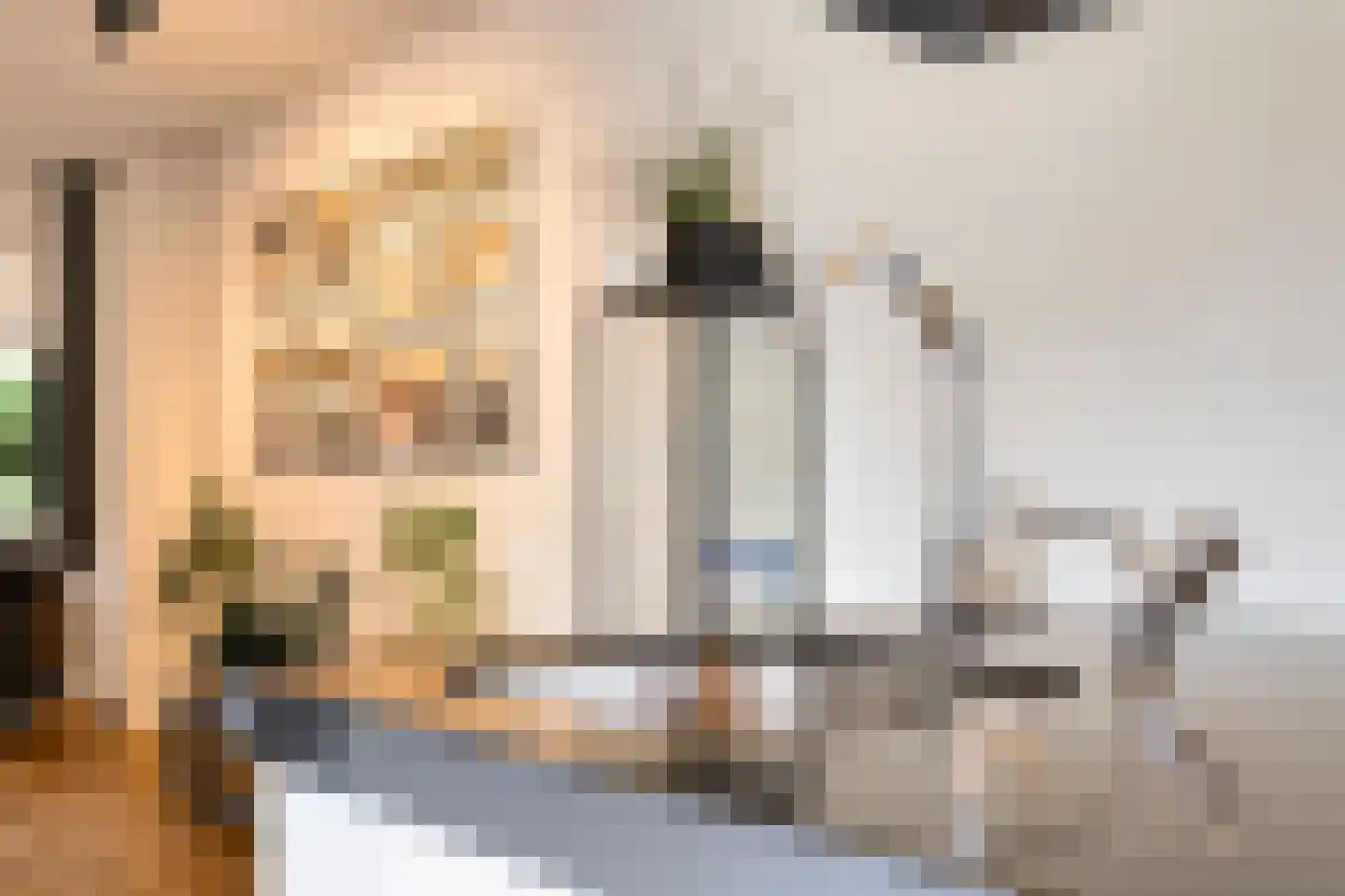 Torenveld 17 Boekel thumbnail 31
