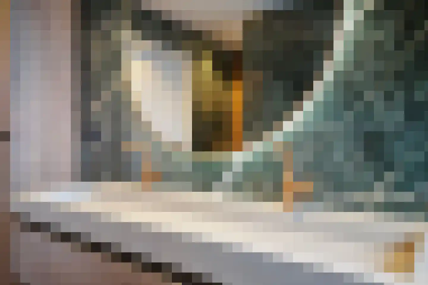 Torenveld 22 Boekel thumbnail 32
