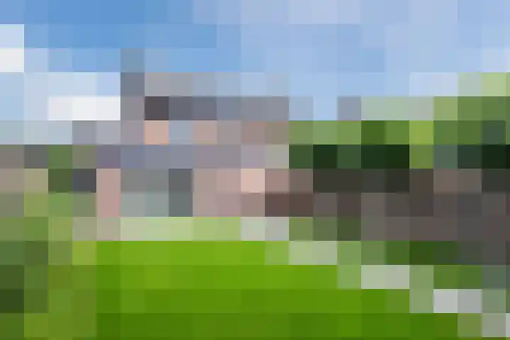 Torenveld 23 Boekel thumbnail 30