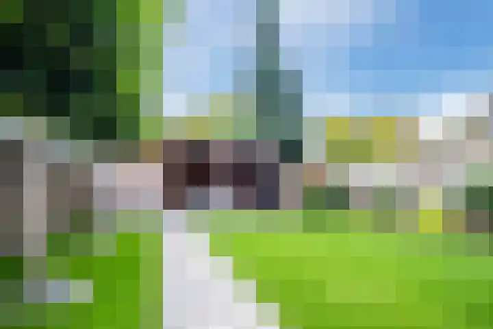 Torenveld 23 Boekel thumbnail 31