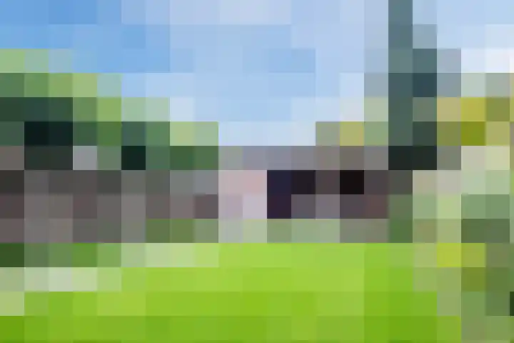 Torenveld 23 Boekel thumbnail 32