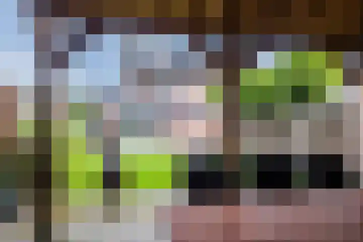 Torenveld 23 Boekel thumbnail 34