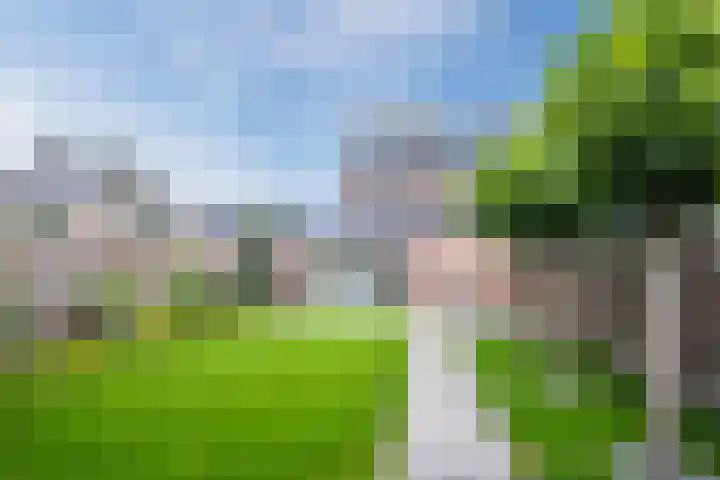 Torenveld 23 Boekel thumbnail 35