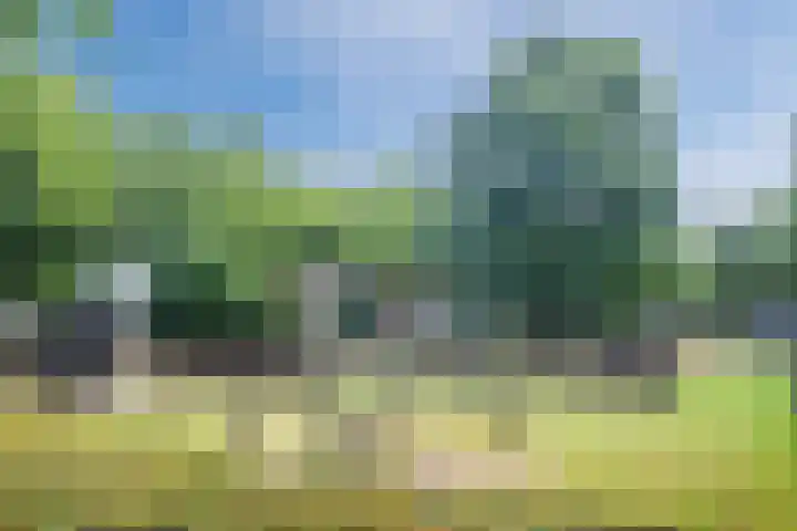Torenveld 23 Boekel thumbnail 38