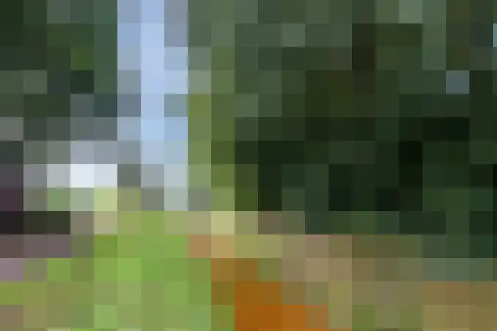 Torenveld 23 Boekel thumbnail 39