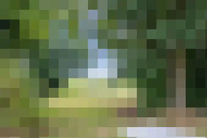 Torenveld 23 Boekel thumbnail 40